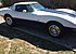 1978 Chevrolet Corvette for sale 101064988